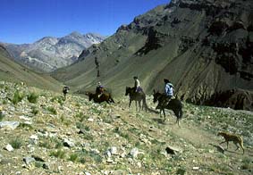 ���[���X�̈�Q