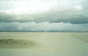 �z���C�g�T���Y