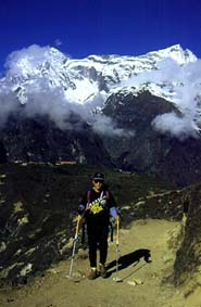 �N�����f