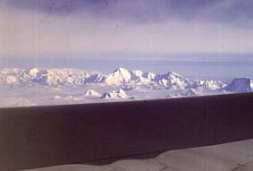 �V�V���p���}